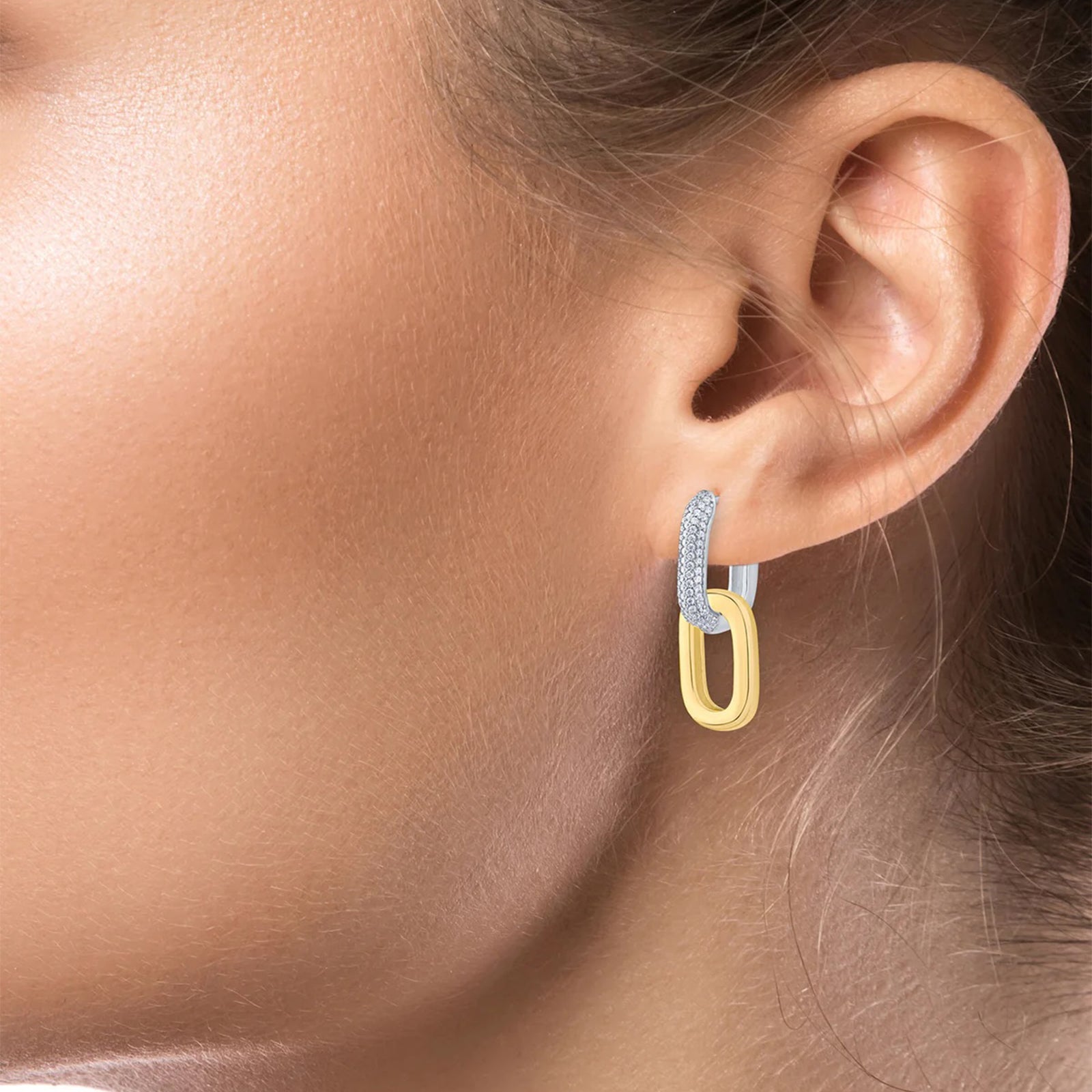 Double Link Earrings